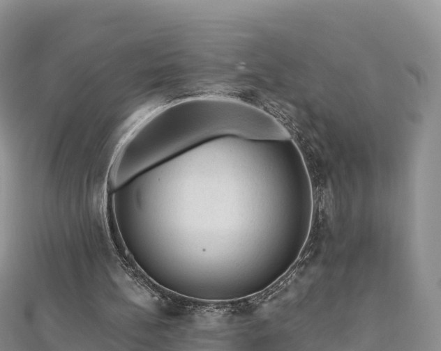 X0000112800148200908281535