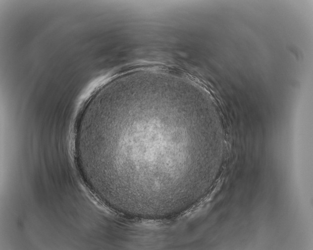 X0000112800149200908281535