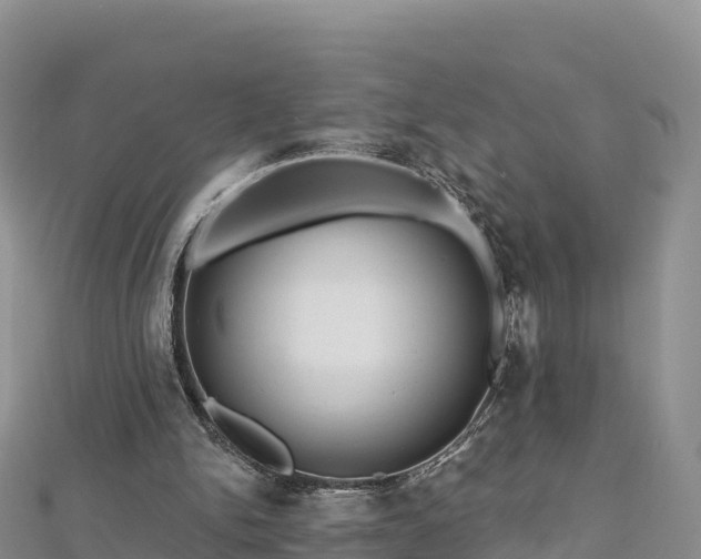 X0000112800150200908281535