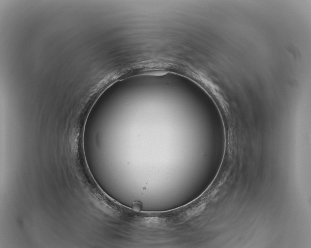 X0000112800153200908281535