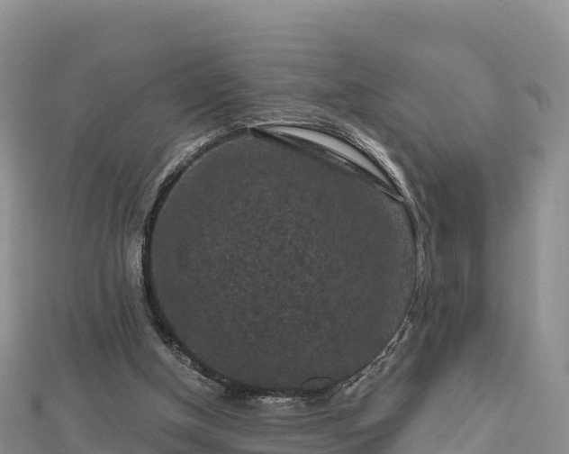 X0000112800154200908281535