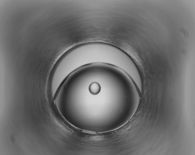 X0000112800156200908281535