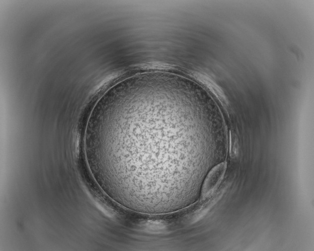 X0000112800157200908281535