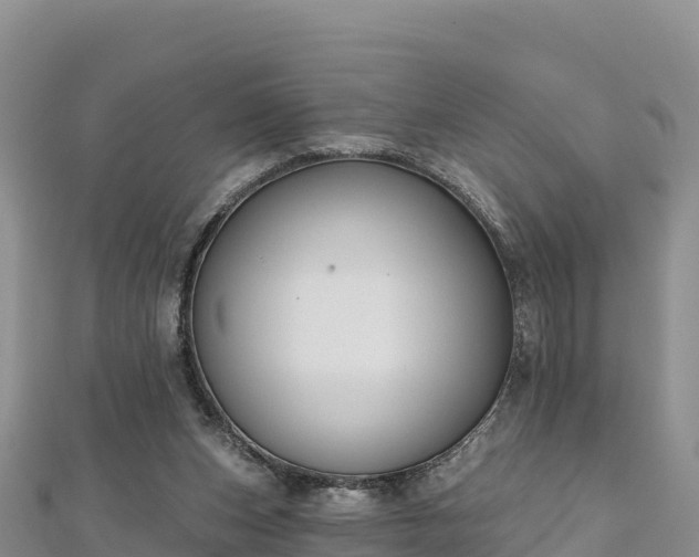 X0000112800159200908281535