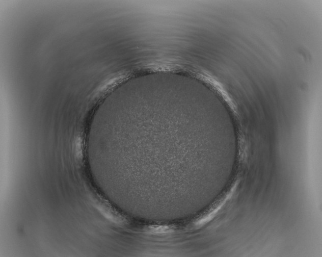 X0000112800161200908281535