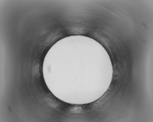 X0000112800162200908281535