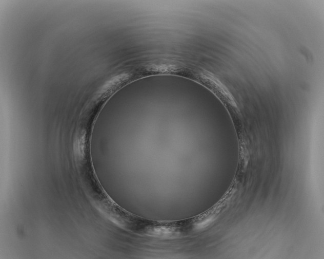 X0000112800163200908281536