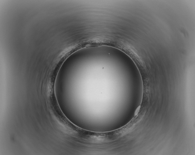 X0000112800164200908281536
