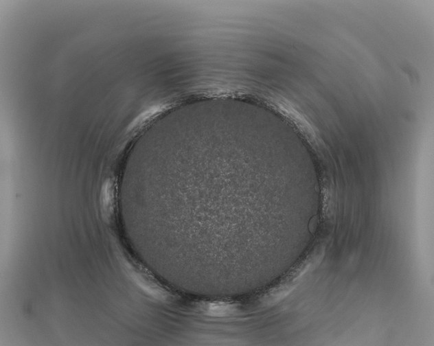 X0000112800165200908281536