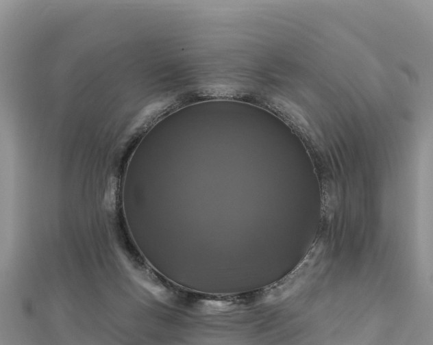 X0000112800167200908281536