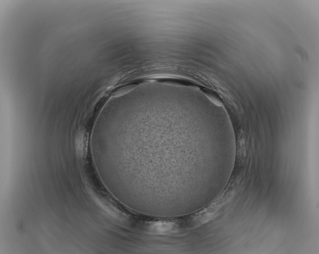 X0000112800168200908281536