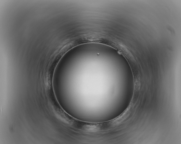 X0000112800170200908281536