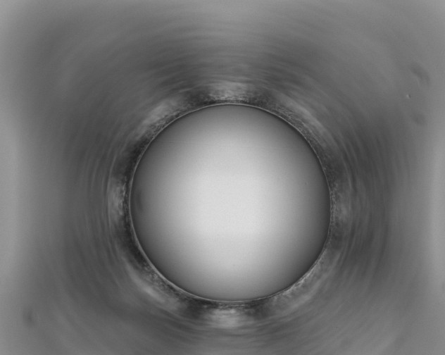 X0000112800171200908281536