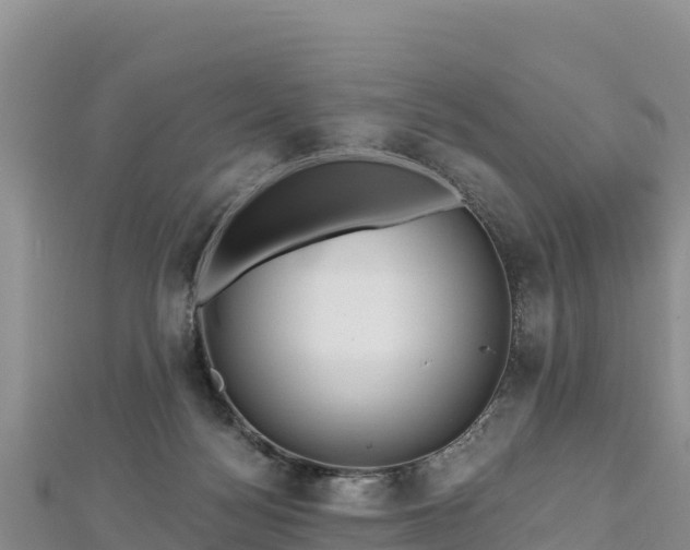 X0000112800172200908281536
