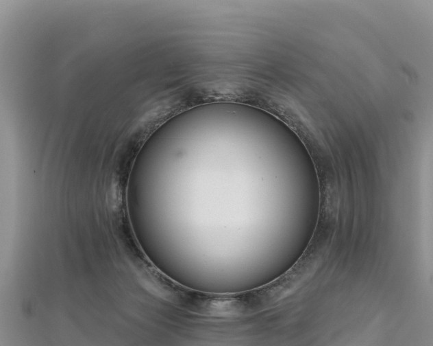 X0000112800173200908281536