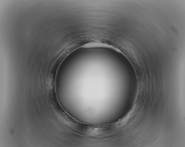 X0000112800174200908281536