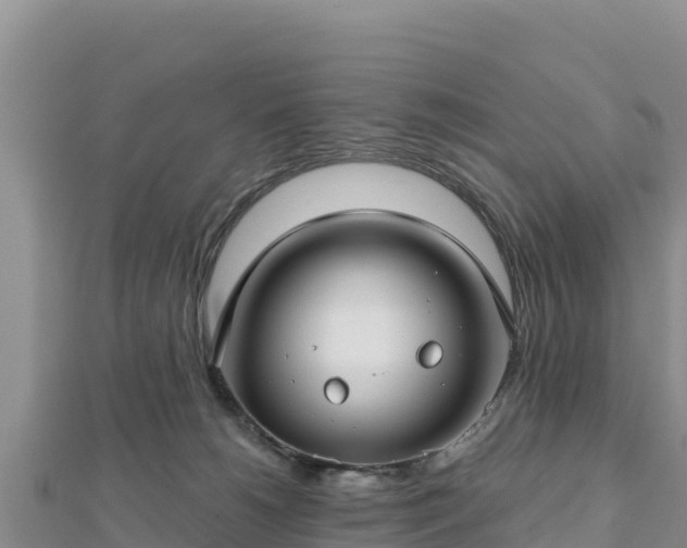 X0000112800180200908281536