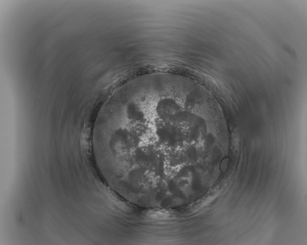 X0000112800181200908281536