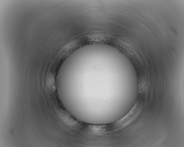 X0000112800187200908281536