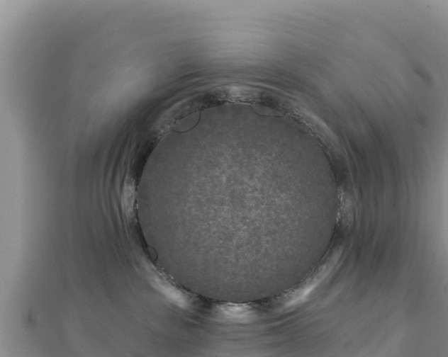 X0000112800189200908281536