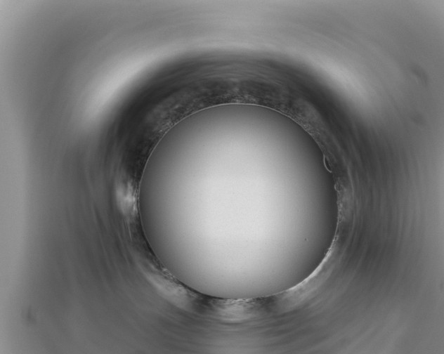 X0000112800191200908281536