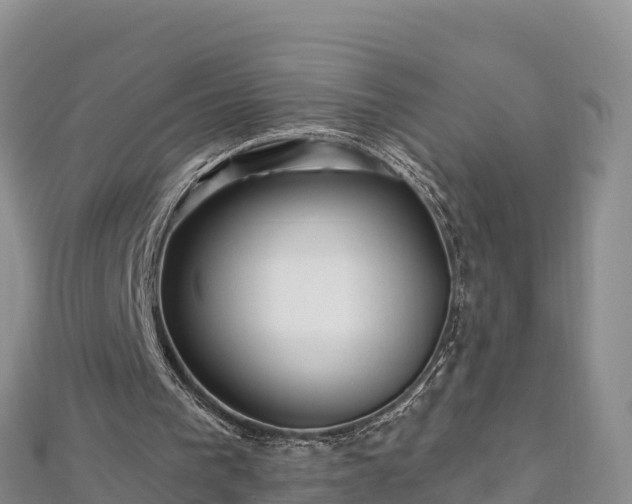 X0000112800193200908281535