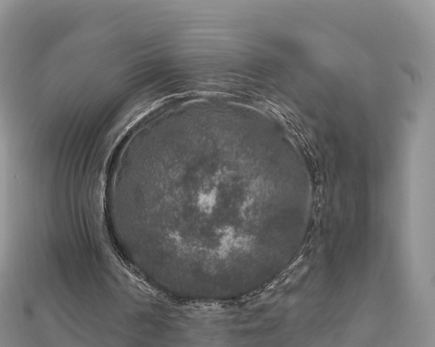X0000112800194200908281535
