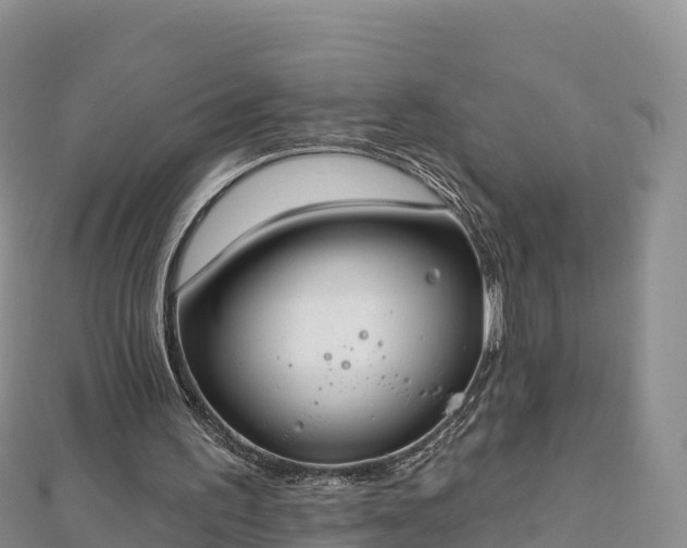 X0000112800195200908281535