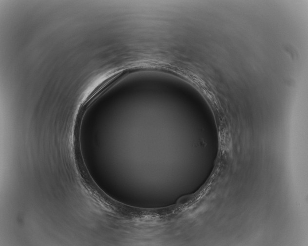 X0000112800196200908281535