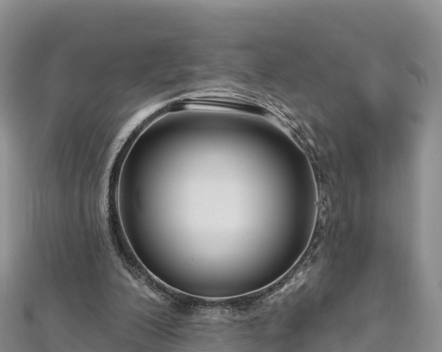X0000112800200200908281535