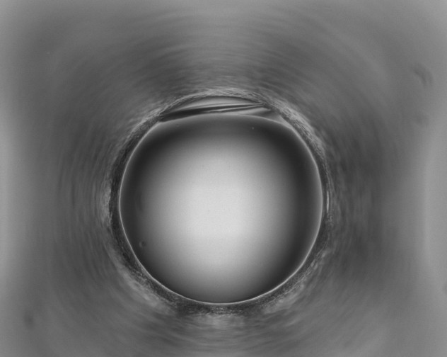 X0000112800201200908281535