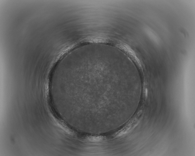X0000112800202200908281535