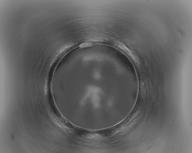 X0000112800203200908281535