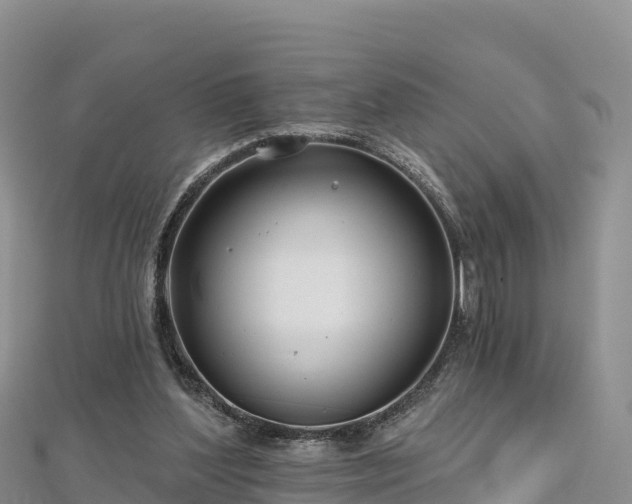 X0000112800204200908281535