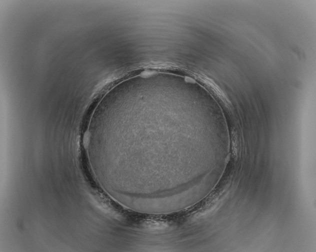 X0000112800207200908281535