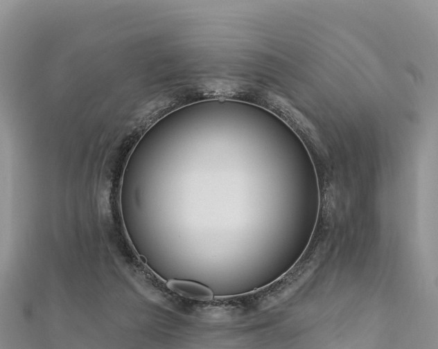 X0000112800209200908281535