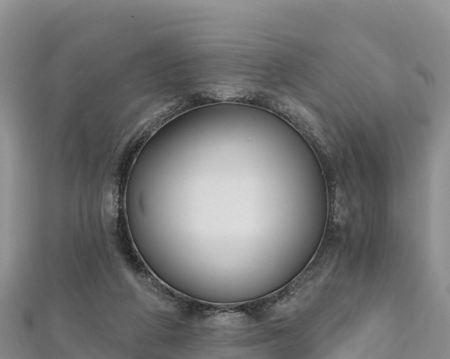 X0000112800210200908281535
