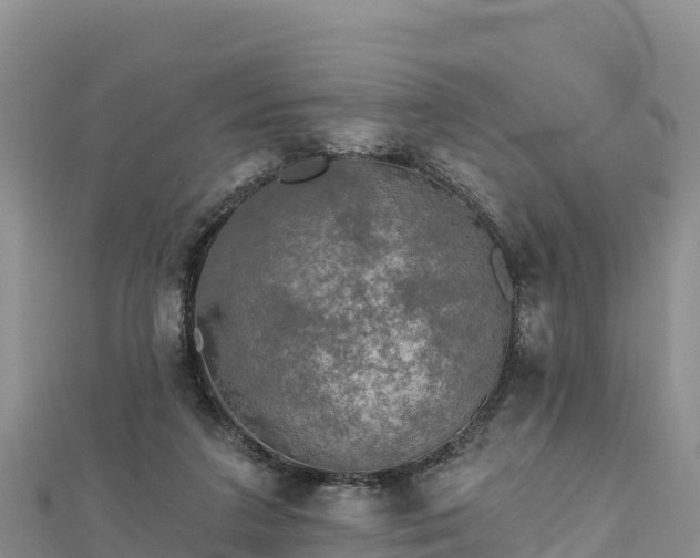 X0000112800211200908281535