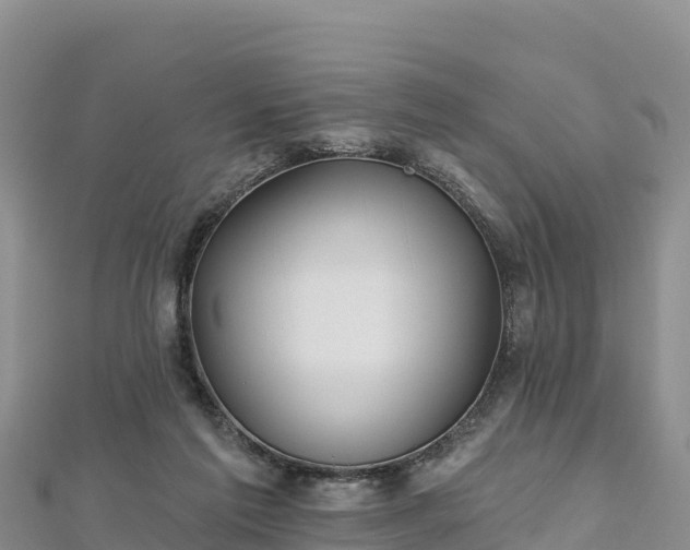 X0000112800213200908281535
