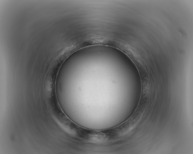 X0000112800215200908281535