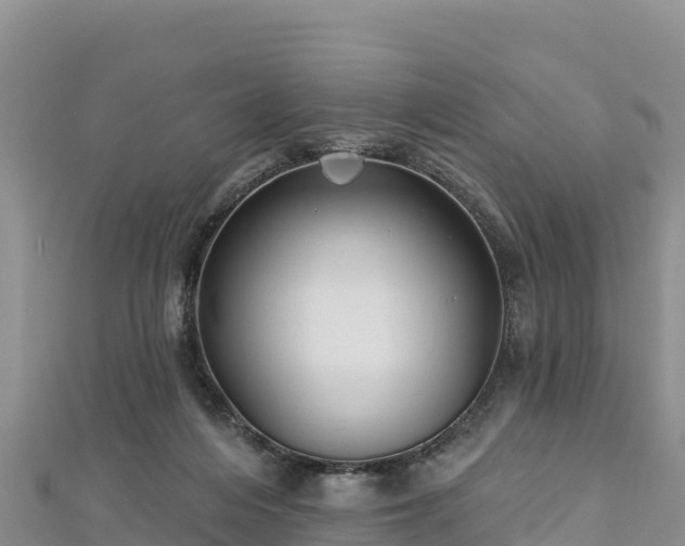 X0000112800216200908281535