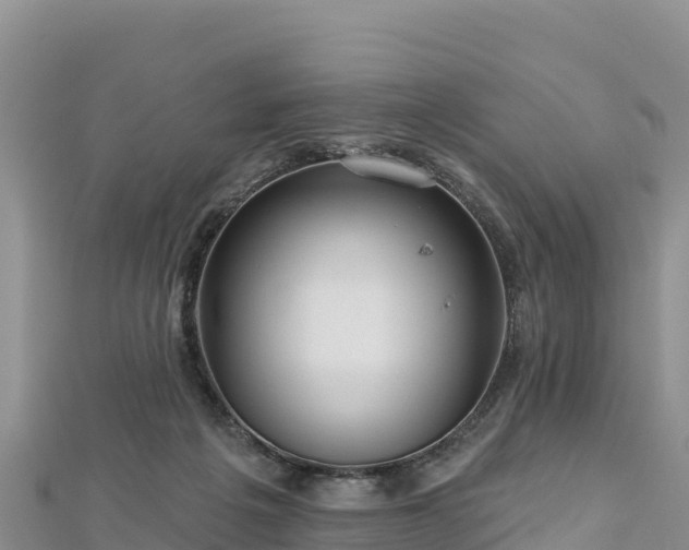X0000112800217200908281535