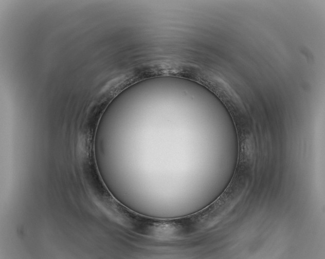 X0000112800218200908281535
