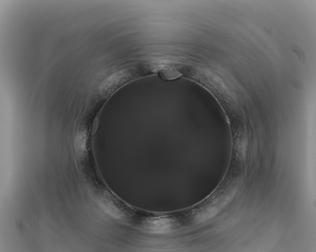 X0000112800219200908281535
