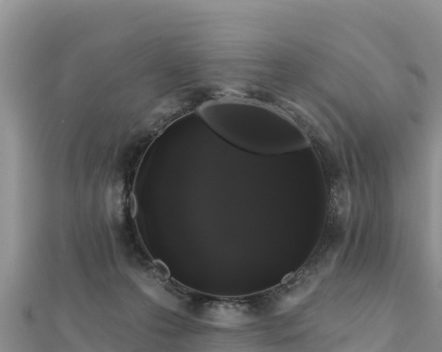 X0000112800223200908281535