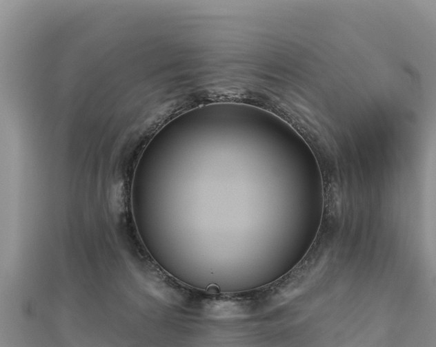 X0000112800224200908281535