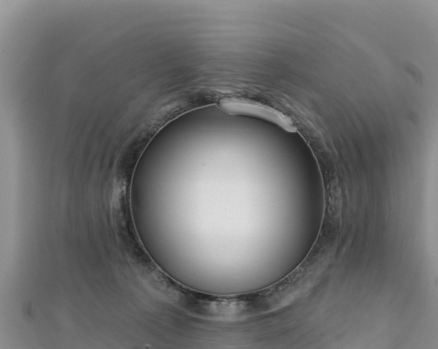X0000112800225200908281535