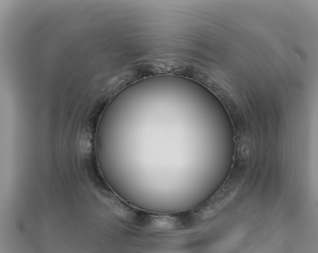 X0000112800226200908281535