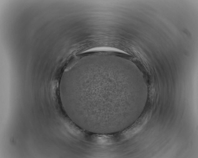 X0000112800229200908281535