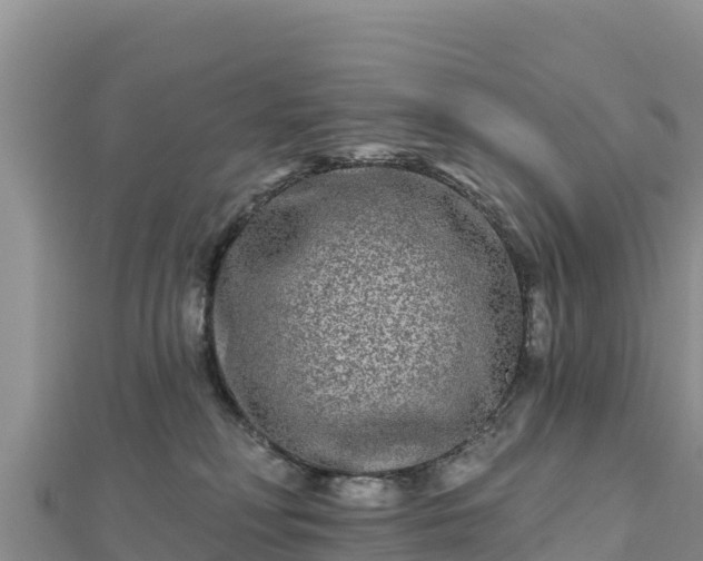 X0000112800230200908281535